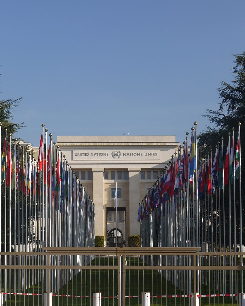 The avenue of national flags outside the Palais des Nations in Geneva, two rows of flagpoles leading to a stone facade lettered United Nations, Nations Unies